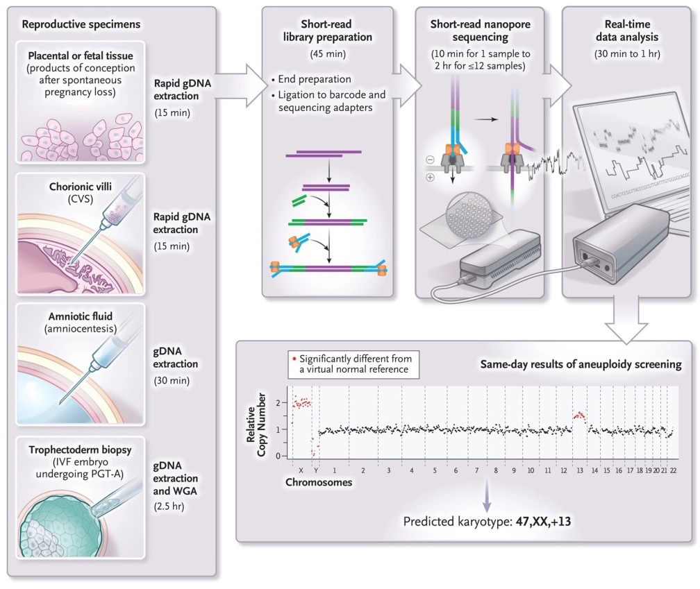 Test To Detect Genetic Disorders in Unborn Babies Could Revolutionize Pregnancy