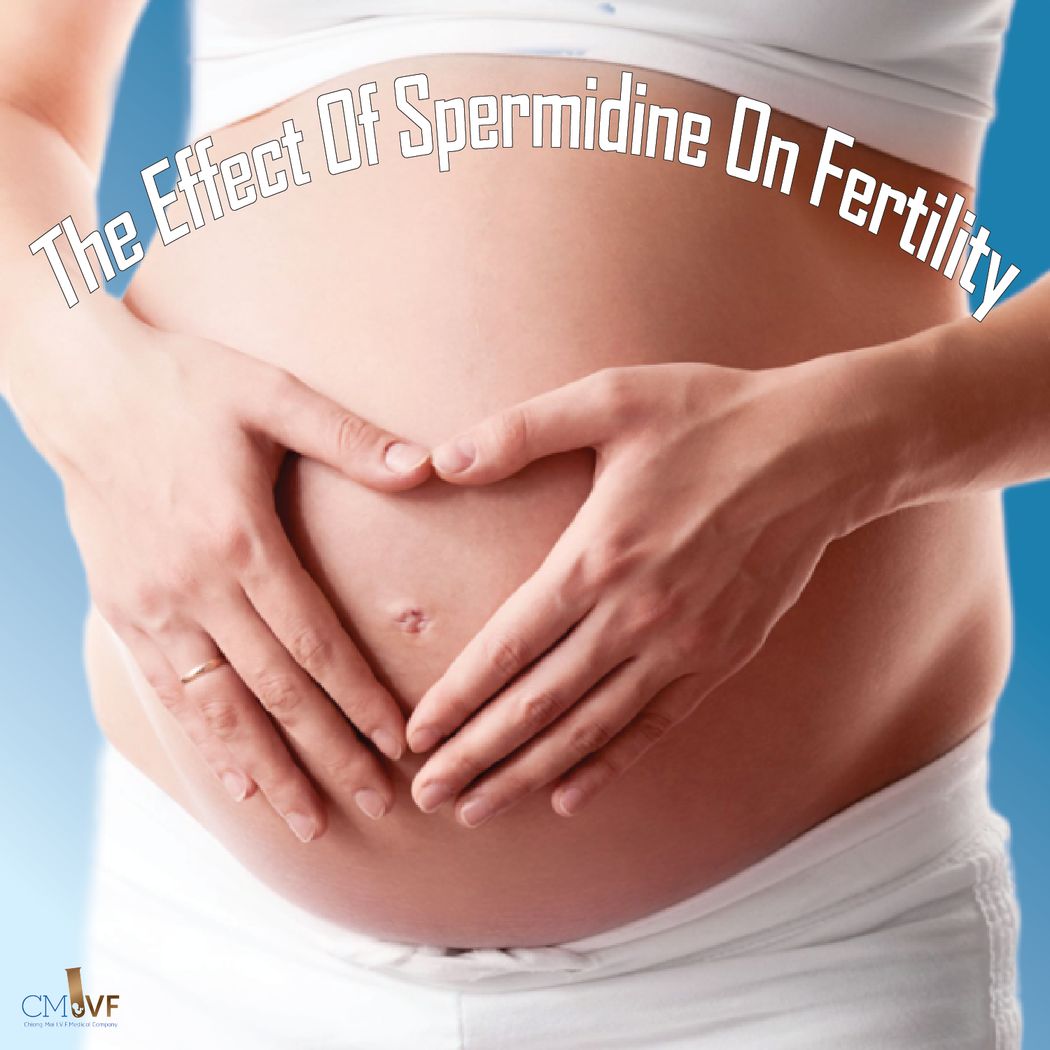 The Effect Of Spermidine On Fertility